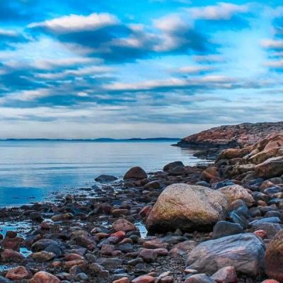 管家婆期期四肖四码中特管家手机app下载截图