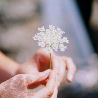 k1体育十年品牌值得信赖网址